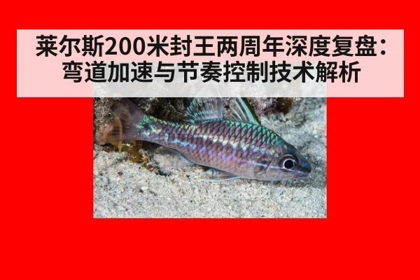 莱尔斯200米封王两周年深度复盘:弯道加速与节奏控制技术解析