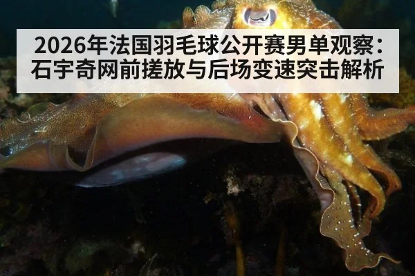 2026年法国羽毛球公开赛男单观察:石宇奇网前搓放与后场变速突击解析