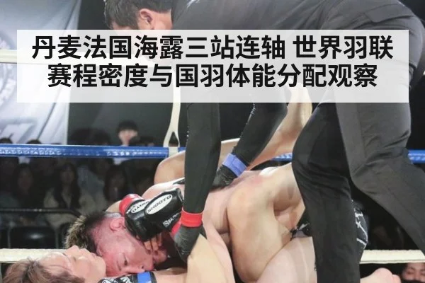 丹麦法国海露三站连轴 世界羽联赛程密度与国羽体能分配观察（jiuyou game）